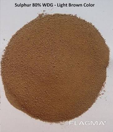 Sulphur 80 WDG