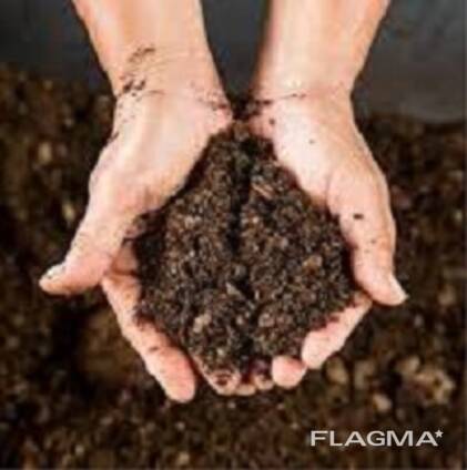 Peat, Торф