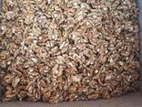 Walnut kernels / Ядро грецкого ореха - фото 1