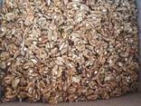 Walnut kernels / Ядро грецкого ореха