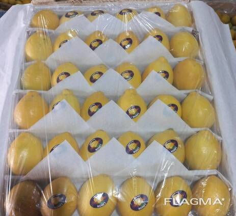 We offer direct wholesale deliveries of lemon from sunny Uzbekistan, 2025.