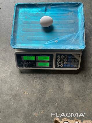 Яйцо пищевое