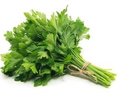 Greens, Dill and Parsley from Uzbekistan